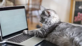 ライティング術の向上は特別な才能より書く習慣がつくる